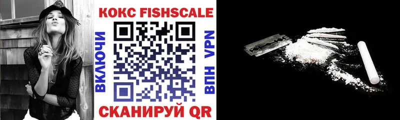COCAIN FishScale  Купить где  Городище 