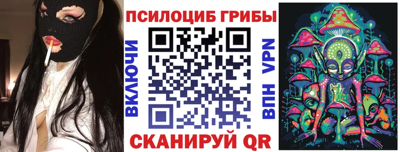 Галлюциногенные грибы Psilocybe  Купить где  Городище 